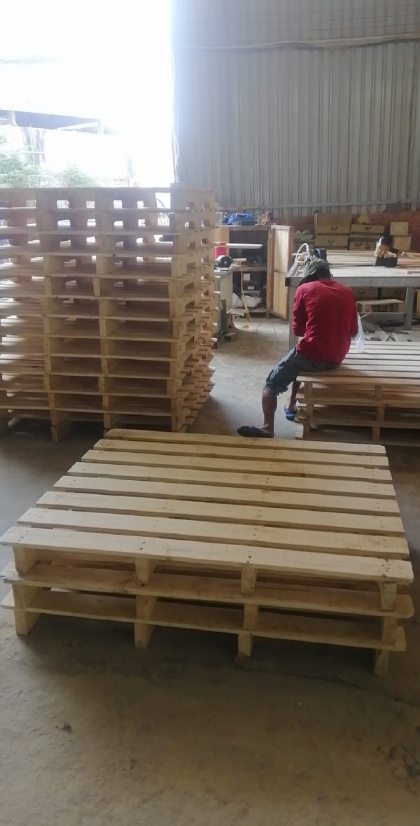 Pallet Binh Duong (5)