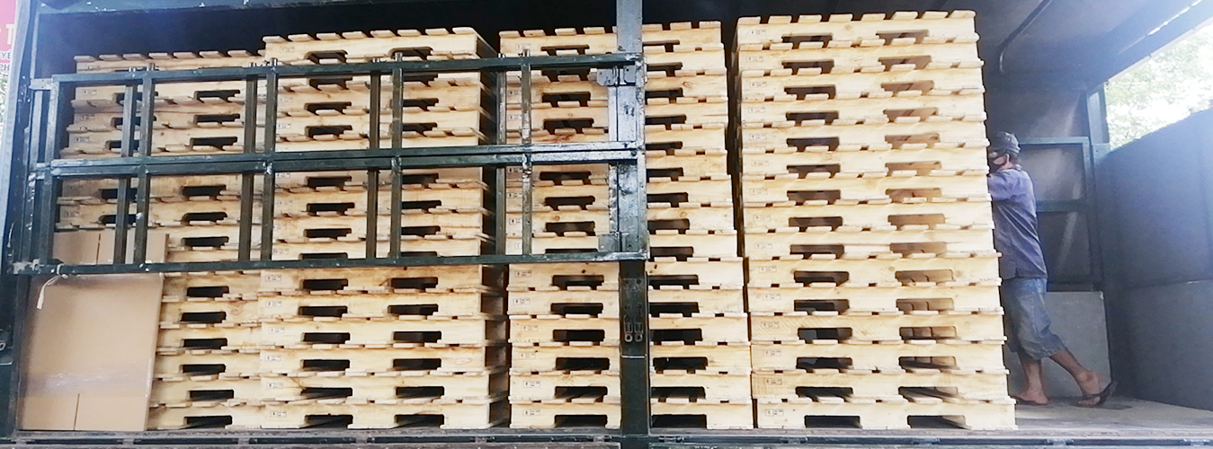 Pallet Binh Duong (9)