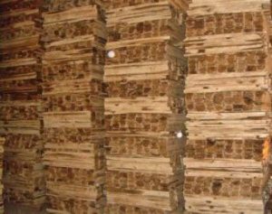 Quy trinh sản xuất pallet gỗ